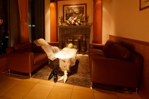 b_room_001